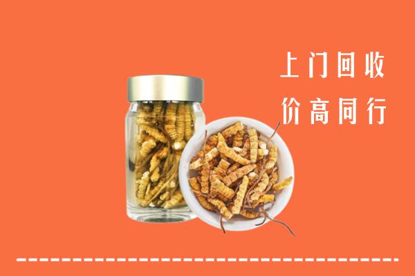 佛山回收冬虫夏草