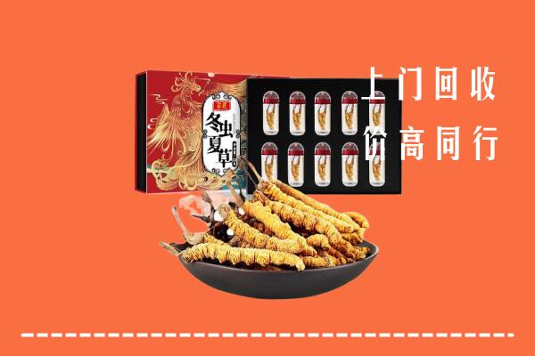 佛山回收虫草